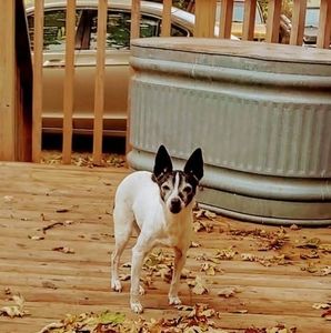 Meet your Posher, Jodi